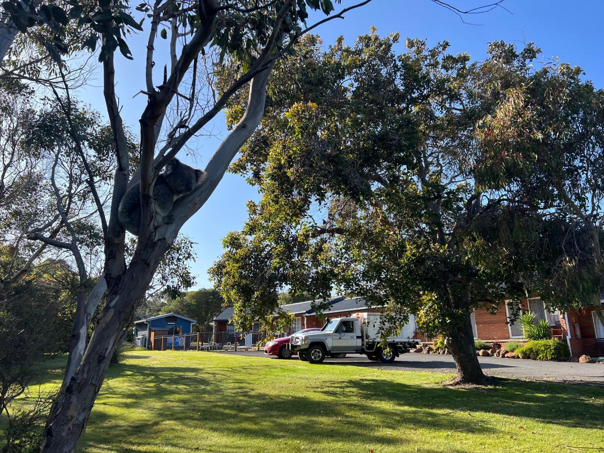 Port Campbell Motor Inn Exterior foto